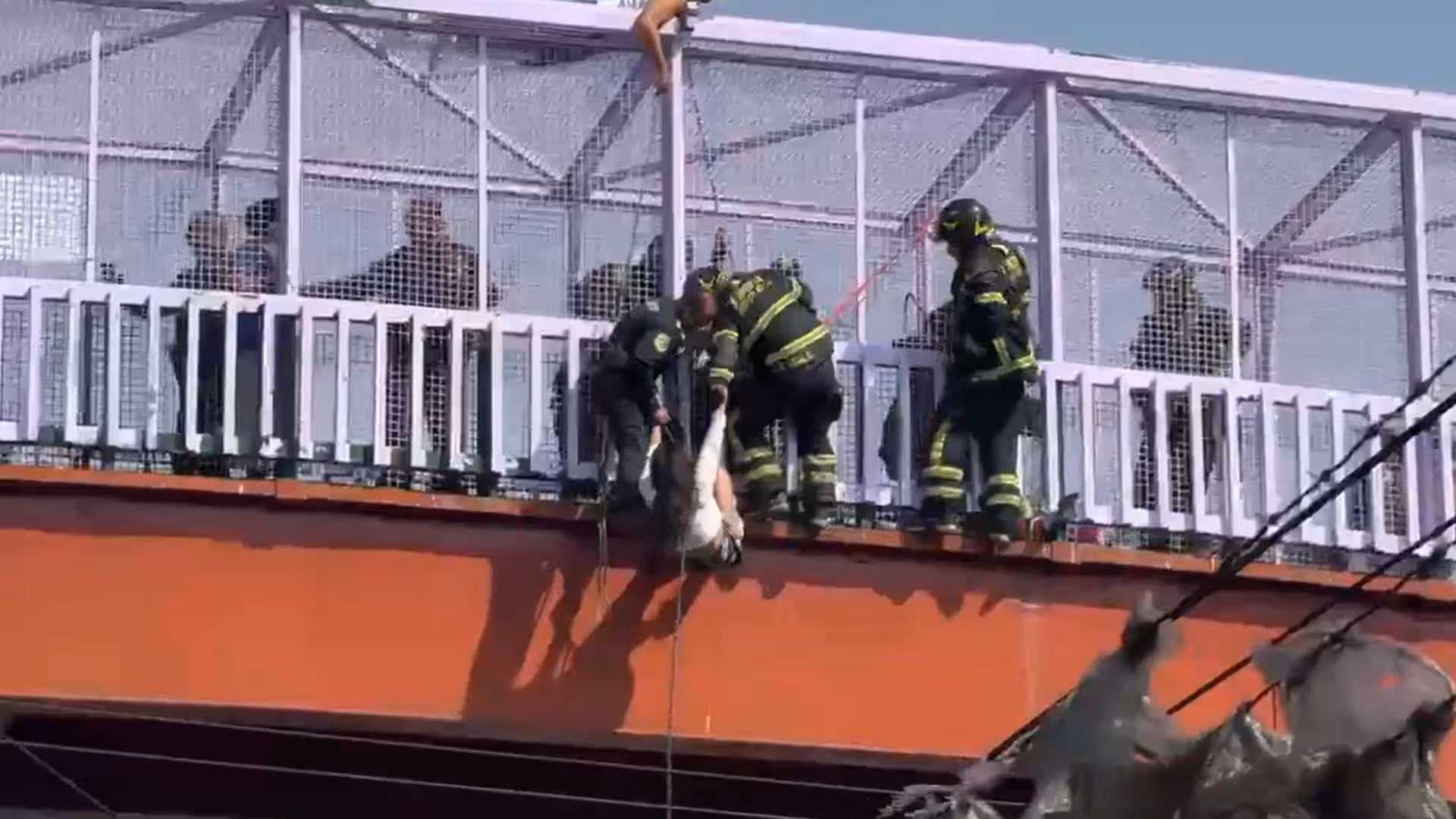Rescate en las vías del Metro de CDMX: mujer cae desde puente en calzada Ignacio Zaragoza