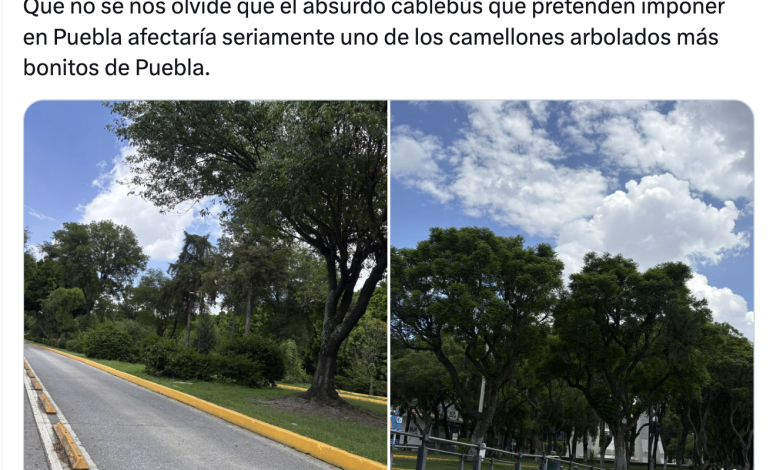 El Cablebús en Puebla y la defensa del camellón del Bulevar 5 de Mayo