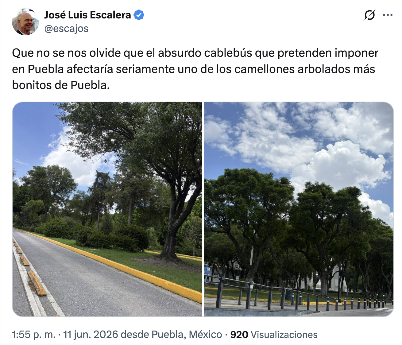 El Cablebús en Puebla y la defensa del camellón del Bulevar 5 de Mayo