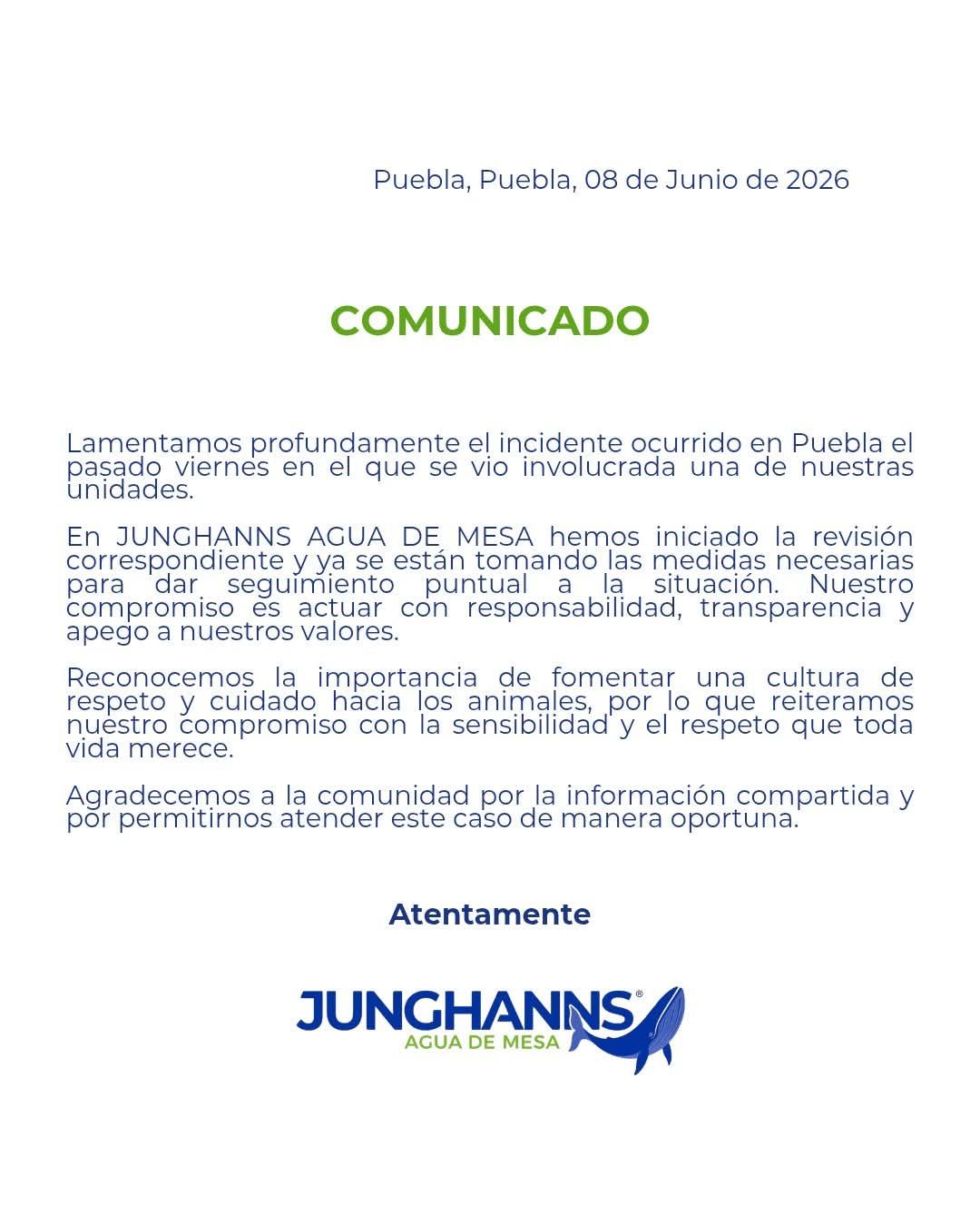 Indignación en Puebla por muerte de perro atropellado; Junghanns evita informar sanciones al conductor